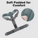 Plutus Pet No Pull Dog Harness, Adjustable Nylon Harness with Soft Padding, Reflective and Heavy Duty Dog Harness for Small, Medium, Large Dogs(Gray, XS)