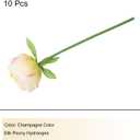 MECCANIXITY Artificial Flower Heads, Silk Peony Leaf Plants Hydrangea Champagne Color Faux Flowers for DIY Craft Wedding and Party Decoration Pack of 10