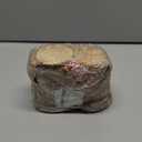 Unfinished Natural Wood Slices 25Pcs 3.1-3.5 inch Wood Coaster Pieces Craft Wood kit Predrilled with Hole Wooden Circles Great for Arts and Crafts Christmas Ornaments DIY Crafts Rustic Wedding