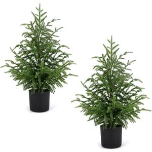 ENVEN 2FT Artificial Norfolk Pine Christmas Tree  Tabletop Faux Tree Unlit/Prelit with 50 LED Lights & 8-Function Battery Box, Pre-Assembled Holiday Decor for Home or Office (2FT-2Pack)