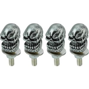 Arenbel Skull License Plate Screws Motorcycle Frame Bolts Nuts Car Tag Fasteners Cap Kit Fit Vehicles Motorcycle Trucks SUV, 4Pcs Silver