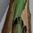 Artificial Bird of Paradise Plant Fake Tropical Palm Tree for Indoor Outdoor, Perfect Faux Plants for Home Garden Office Store Decoration (H 120cm)