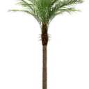 6ft Artificial Phoenix Palm Tree Tall Artificial Palm Trees with 18 Adjustable Leaves,Faux Phoenix Palm Plants for Outside Patio Pool Home Office Living Room Yard (1Pcs, 6ft)