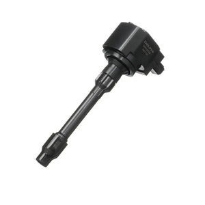 Delphi GN10734 Ignition Coil, 1 Pack