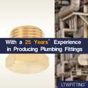 LTWFITTING Brass Pipe Hex Head Plug Fittings 3/8-Inch Male NPT Air Fuel Water Boat(Pack of 10)