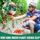 300 Pcs Plant Support Clips - Plastic Clips for Garden Netting Climbing Plants, Tomato Vine Clipsfor String Trellis,Grape Vine Clips to Grow Upright Makes Plants Healthier (Green)