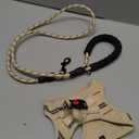 Dog Harness Step-in Breathable Puppy Cat Dog Vest Harnesses for Small Medium Dogs