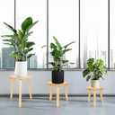 Amdermi 3-Pack Wood Plant Stands Indoor, Single Plant Stand for 6-12 Inch Pots, Mid-Century Modern Plant Stool, Tall Plant Stand for Large Plants for Living Room, Balcony, Office (Light Brown)