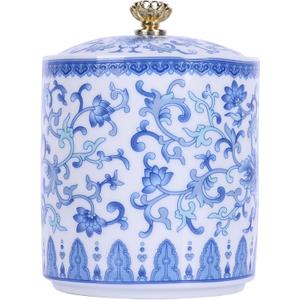 Mini Blue and White Porcelain Jar with Lid, Airtight Ceramic Spice/Tea/Condiment Container  Vintage Chinoiserie Decorative Accent, Small Vase, Storage Canister for Kitchen & Home Decor (Design F)
