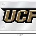 Rico Industries NCAA Florida Gators Laser Inlaid Metal License Plate Tag (Silver)