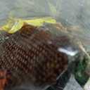 Spooktacular Creations Scarecrow Hat Headband for Adults Kids, Brown Headwears Costume Accessories for Halloween Dress up Cosplay Party, One Size Sunflower Headpiece