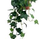 31.5" Artificial English Ivy Plant in Pot - Fake Silk Ivy Greenery for Home Decor, Tabletop, Office, Shelf, Balcony or Bathroom (1 Pack)
