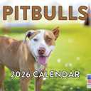 Pitbull Calendar 2026 Pit Bull Monthly Wall Calender 12 Month | American Made In The USA