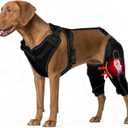 Dog Knee Braces for Back Leg, Adjustable Dog Leg Braces for Torn ACL Hind Leg with Metal Stabilizers, Better Recovery Knee Brace for Rear Leg Cruciate Ligament Injuries & Hip Dysplasia, Large