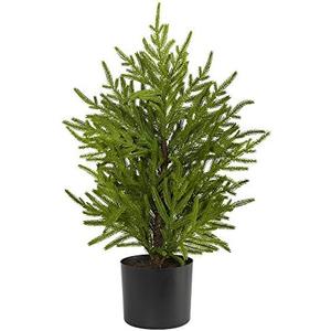 Nearly Natural 2ft. Norfolk Island Pine Natural Look Artificial Tree in Decorative Planter