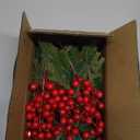 60 Pcs Artificial Christmas Greenery Faux Pine Branches with Red Berry Stems Fake Greenery Pine Picks Christmas Pine Needles for Christmas Tree Wreath Garland DIY Crafts Holiday Home Decoration