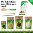 DIY Terrarium Kit for Plants Build a SelfSustaining Closed Ecosystem Supplies for Up to68 oz(12Liter) Succulents, AirPlants(Tillandsia), Fern Jar Not Included