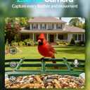 isYoung Smart Bird Feeder with Camera, 2.5K QHD, AI Identify 16000+ Birds,Dual Solar Panel, AI Auto-Capture & Motion Detection, IP65 Weatherproof,170 Field of View, Perfect Bird Watching Gift