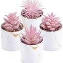 Der Rose 4 Packs Fake Succulents Plants Artificial Indoor for Pink Room Bathroom Decor Office Desk Accessories for Women