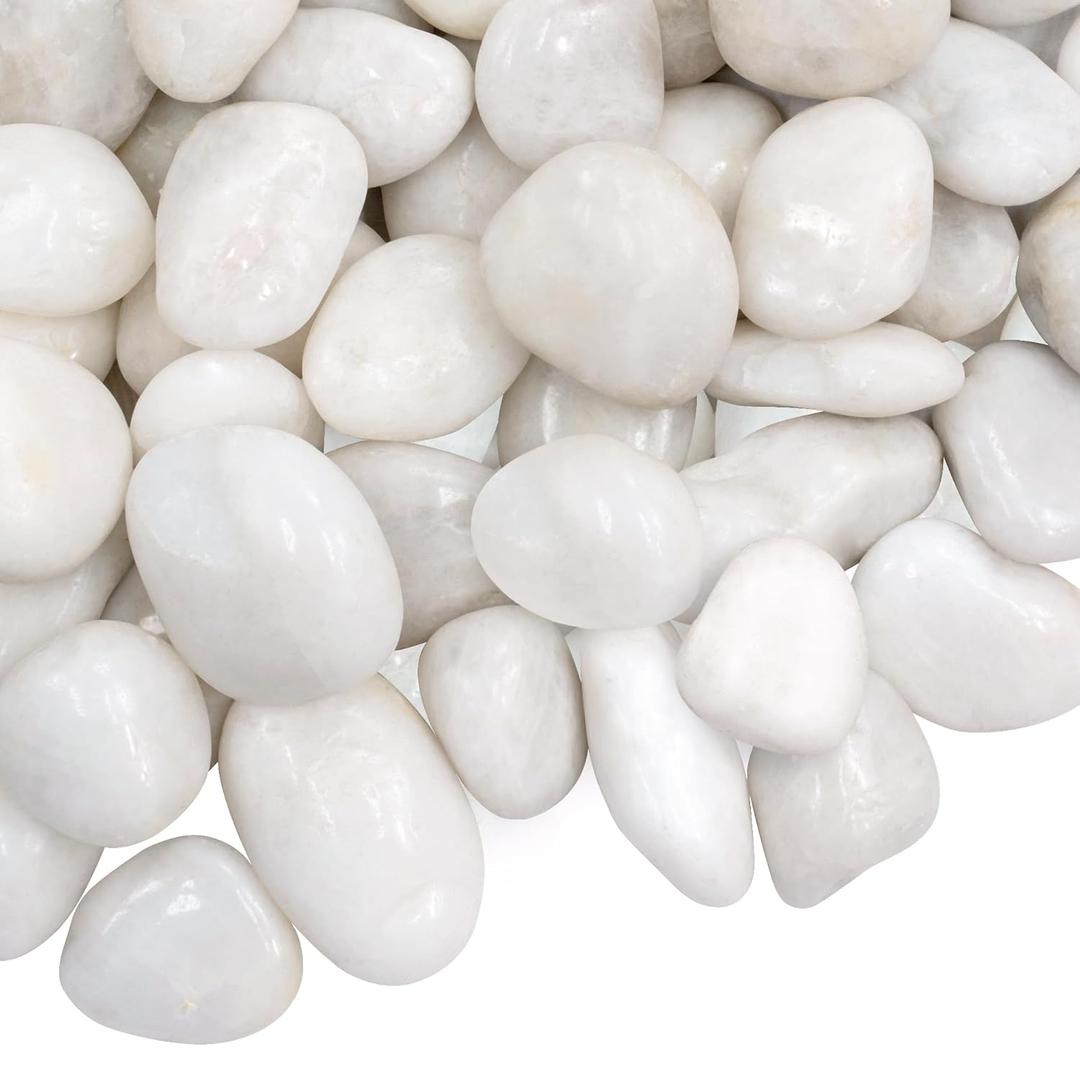 5lbs Large Pebbles for Indoor Plants, 2-3 Inch Natural White River Rocks for Aquarium, High Polished Decorative Stones for Vase Filler Fish Tank Landscaping Garden