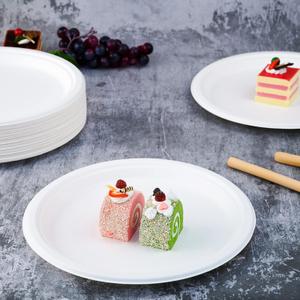 400 Pack Compostable Disposable Paper Plates 10.25 inch Super Strong Paper Plates 100% Bagasse Natural Biodegradable Eco-Friendly Sugarcane(white)