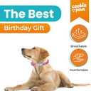 Soft Neoprene Padded Dog Collar and Leash Set for Large Dogs | Comfortable, Adjustable, Quick-Release, Durable, Breathable, Easy Clean, Cute, Fancy| Donut | Pink