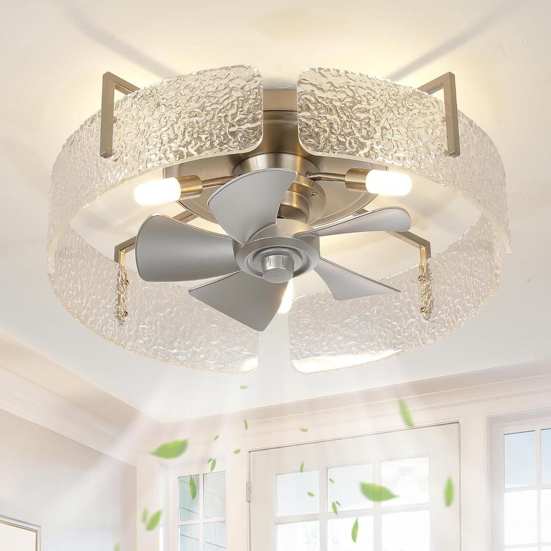 20" Low Profile Caged Ceiling Fan with Light and Remote