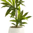 Nearly Natural 46in. Dracaena Artificial Plant in White Planter with Stand (Real Touch)