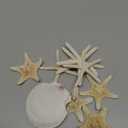 JQAQJU 3-4 Inches Large Starfish and Scallop Shells for Crafts 12PCS, Natural Beach Sea Shells for Crafting, Baking Shells Perfect for White Christmas Decor Beach Party Wedding Fishtank DIY Crafts