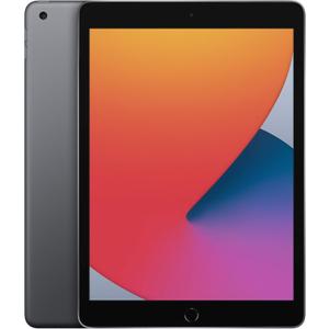 Apple iPad (10.2-inch, Wi-Fi, 32GB) - Space Gray (8th Generation) 