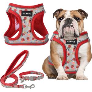 GAMUDA Small Dog Harness Collar and Leash Set, Step in No Chock No Pull Soft Mesh Adjustable Dog Vest Harnesses Plaid Reflective for Dogs Puppy Cats Kitten Rabbit (Red Flower, Large)