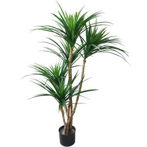 Pure Garden Artificial Tree - 51-Inch Tropical Yucca Plant with Rubber Leaves and Natural Trunk for Living Room, Bedroom and Office - Faux Plants (4ft 3in, Green)