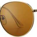 Pro Acme Round Sunglasses for Women Men Classic Retro Circle Metal Sun Glasses 100% Real Glass Lens (B04 Brown / Plastic/ Polarized)