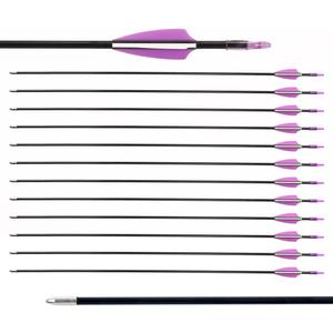 LWANO 28" Fiberglass Arrows - Archery Practice Target Arrows with Blunt Tips Durable Shaft for Youth Kids Children Beginners on Recurve & Long Bows (Pack of 12) (Purple)