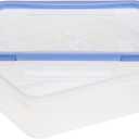 Snapware Total Solution 8.5-Cup Plastic Food Storage Container with Lid, 8.5-Cup Rectangular Meal Prep Container, Non-Toxic, BPA-Free Lid with 4 Locking Tabs, Microwave, Dishwasher, and Freezer Safe (1 Count (Pack of 1))