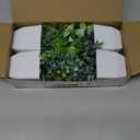Der Rose 4 Pack Fake Plants Mini Artificial Greenery Potted Plants for Home Decor Indoor Office Table Room Farmhouse Bathroom Decor