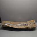 Artificial Camellia Tree 2 Pack - Realistic Camellia Plants in Pot with White Flowers, Lifelike Faux Greenery for Living Room, Patio, or Wedding, White