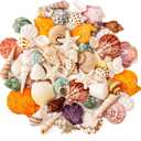 Sea Shell Mixed Ocean Shells Set, 15 Kinds 1.2"-2.7" Various Sizes Natural Seashell & Starfish for Beach Themed Decor, DIY Crafts, Vase Fillers, Fish Tank, Home, Wedding and Party Decoration