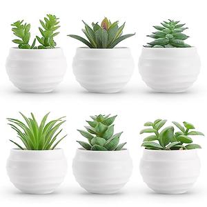 Der Rose Set of 6 Succulents Plants Artificial in Pots Small Fake Plants for Bedroom Aesthetic Living Room Shelf Bathroom Decor Office Desk Accessories