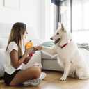 POPETPOP 2 Pcs Pumpkin Squeaky Latex Dog Toys 4.7 Inch Realistic Voice Toy Pumpkins for Puppy Teething and Interactive Pet Play