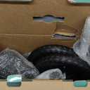 Zoomies Folding 12" Toddler Balance Bike for 2 to 5 Year Olds  Foldable Easy to Take On The Go  w/Carrying Strap (Midnight Black)