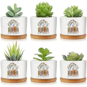 Havawish 6 Pcs Dental Assistant Gift Ceramic Succulent Planter Pots Mini Porcelain Plant Containers Funny Gifts for Dentist Dental Office Home Desk Tooth Decoration, Plants Excluded