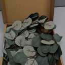 Fudios Lighted Twig Eucalyptus Garland 6FT 96 Warm White LED Battery Operated with Timer for Mantle Fireplace Wedding Party Spring Bedroom Decoration Indoor Outdoor Use