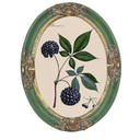 PARAFAYER Vintage Oval Picture Frame 5x7 Inch, High Definition Glass Front, Retro Home Decor Art Gallery (Green and Gold Oval 5x7)