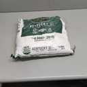 Pennington Kentucky 31 Tall Fescue Grass Seed 20 lb