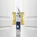 Sumnacon 2 Set 12" Stainess Steel Door Handle Pull & Push Plate - Heavy Duty Gold Gate Handle Bar for Home/Office/Warehouse/Public,Suitable of Wooden/Composite Door with Screws,Brushed