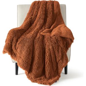 Bedsure Fuzzy Sherpa Faux Fur Twin Blanket Burnt Orange Cozy Gifts for Women Men, Soft Fleece Plush Warm Minky Thick Blanket Twin Size for Bed, Room Decor Dorm Essentials Orange Decor Gifts, 60x80