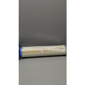 Pentair Pentek ECP20-20BB Big Blue Sediment Water Filter, 20-Inch, Whole House Heavy Duty Pleated Cellulose Polyester Replacement Cartridge, 20" x 4.5", Blue End-Cap, 20 (1 Count (Pack of 1))