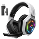 Wireless Gaming Headset 2.4GHz USB & Type-C Low Latency Gaming Headphones with Microphone for PC, PS5, PS4, Mobile, Switch