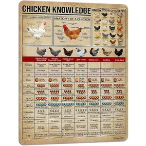 PAIION Metal Tin Signs Chicken Knowledge Detail About Chicken for Farmer for Friends Music Vintage Home Bathroom Cottage Farm Wall Decor 16x12 Inch